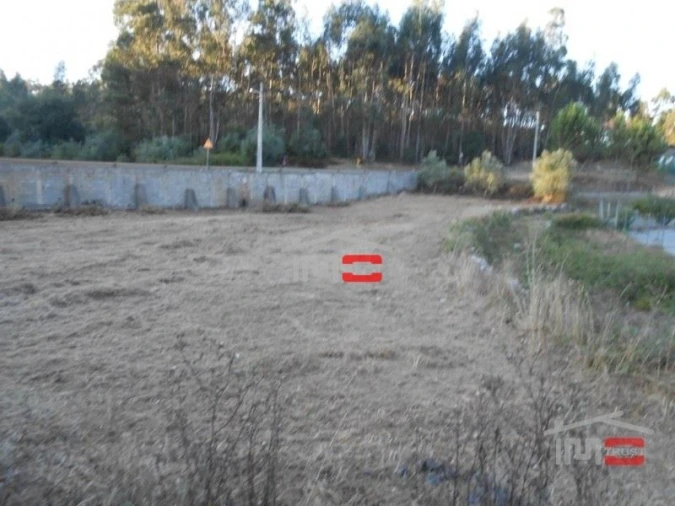 Terreno Misto para Venda em São Mamede Foto 6