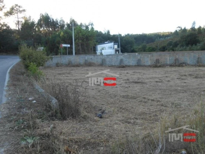 Terreno Misto para Venda em São Mamede Foto 7