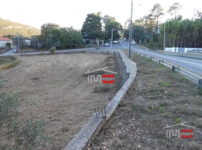 Terreno Misto para Venda em São Mamede Foto 11