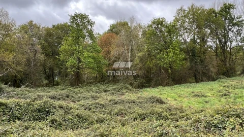 Terreno para Venda em Lago