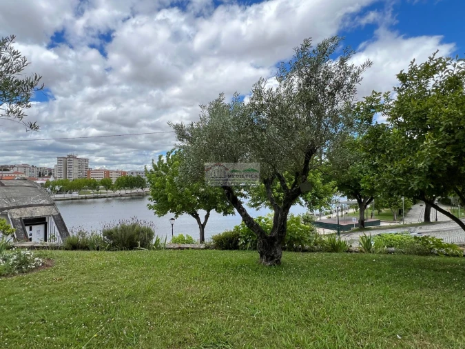 Loja para Venda em Mirandela Foto 9