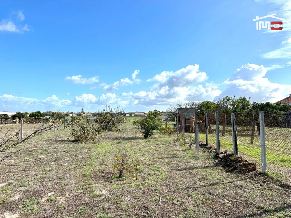 Terreno Agricola ou Rústico para Venda em Montijo e Afonsoeiro Foto 16