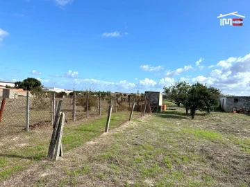 Terreno Agricola ou Rústico para Venda em Montijo e Afonsoeiro