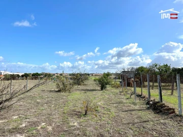 Terreno Agricola ou Rústico para Venda em Montijo e Afonsoeiro
