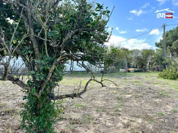 Terreno Agricola ou Rústico para Venda em Montijo e Afonsoeiro