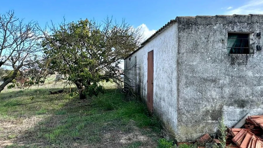 Terreno Agricola ou Rústico para Venda em Montijo e Afonsoeiro