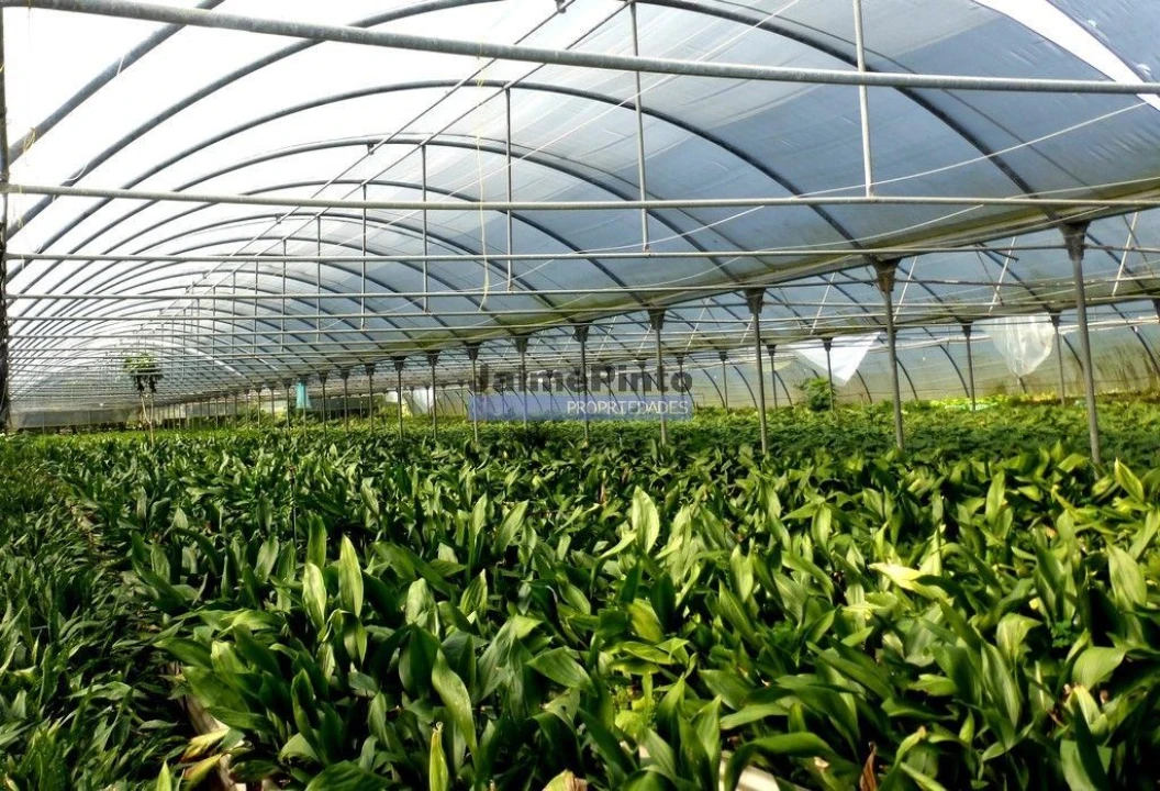Terreno Agricola ou Rústico para Venda em Lagos (São Sebastião e Santa Maria) Foto 9