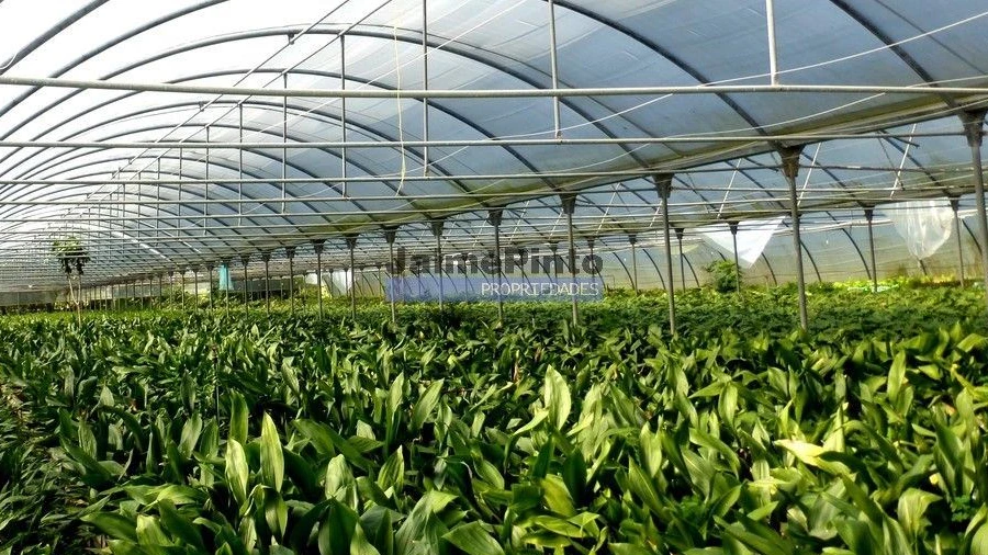 Terreno Agricola ou Rústico para Venda em Lagos (São Sebastião e Santa Maria)