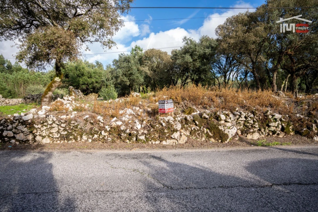 Terreno para Venda em São Mamede Foto 6