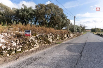 Terreno para Venda em São Mamede