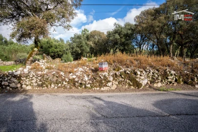 Terreno para Venda em São Mamede
