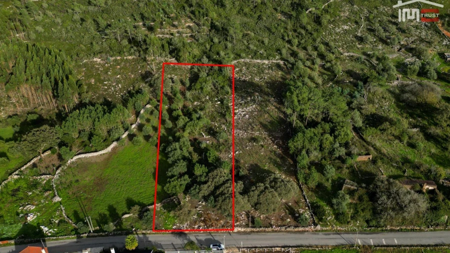 Terreno para Venda em São Mamede