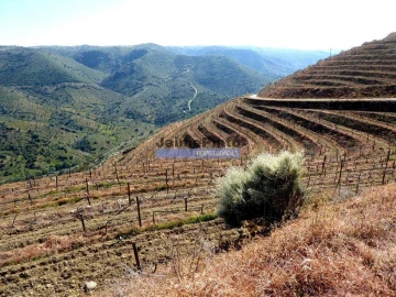 Terreno Agricola ou Rústico para Venda em Castelo Rodrigo