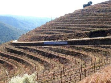Terreno Agricola ou Rústico para Venda em Castelo Rodrigo