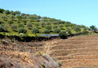 Terreno Agricola ou Rústico para Venda em Castelo Rodrigo