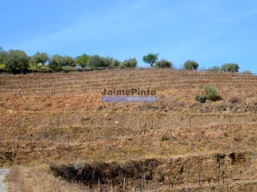 Terreno Agricola ou Rústico para Venda em Castelo Rodrigo