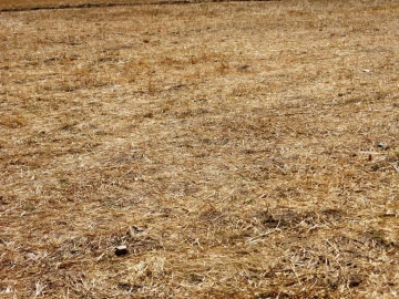 Terreno Agricola ou Rústico para Venda em Figueira de Castelo Rodrigo