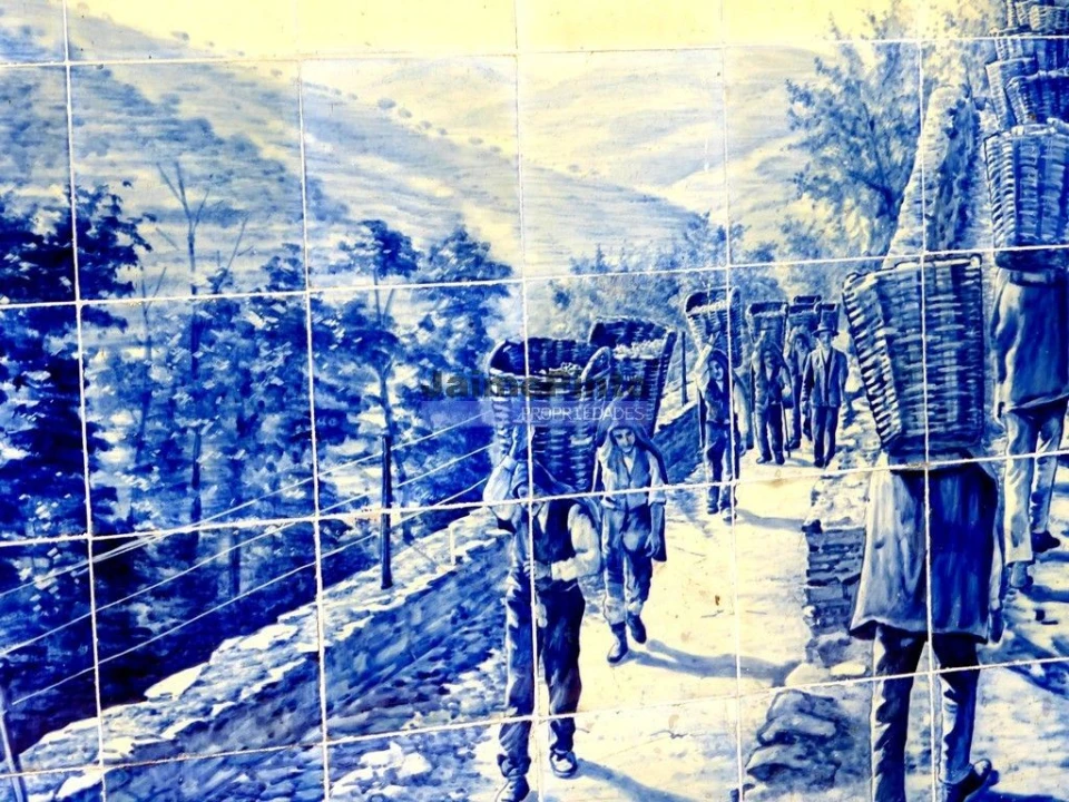 Terreno Agricola ou Rústico para Venda em Pinhão Foto 1