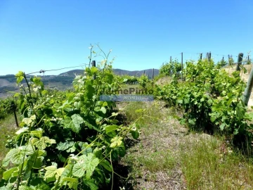 Terreno Agricola ou Rústico para Venda em Pinhão