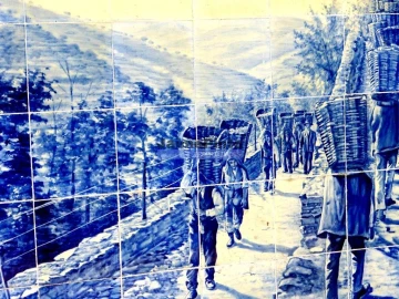 Terreno Agricola ou Rústico para Venda em Pinhão