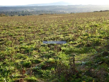 Terreno Agricola ou Rústico para Venda em Figueira de Castelo Rodrigo