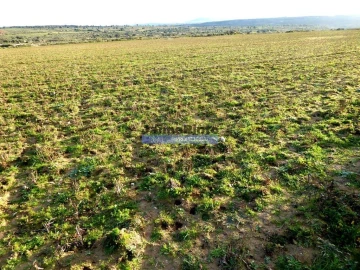 Terreno Agricola ou Rústico para Venda em Figueira de Castelo Rodrigo