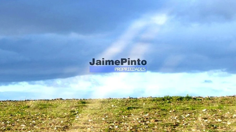 Terreno Agricola ou Rústico para Venda em Figueira de Castelo Rodrigo