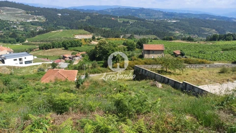 Terreno P/ Prédio para Venda em Figueiró (Santiago e Santa Cristina)