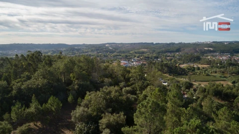 Terreno para Venda em Nossa Senhora da Piedade