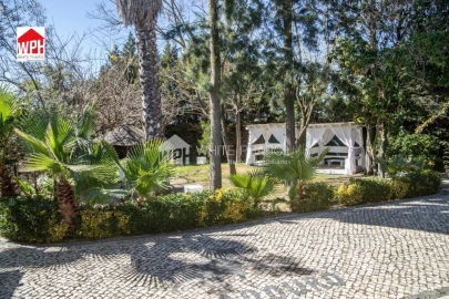 Terreno para Venda em Benavente