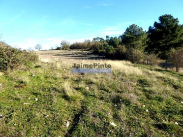 Terreno Agricola ou Rústico para Venda em Figueira de Castelo Rodrigo