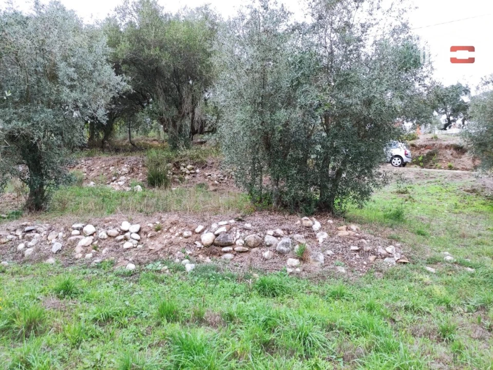 Terreno Agricola ou Rústico para Venda em Urqueira Foto 1