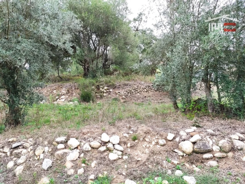Terreno Agricola ou Rústico para Venda em Urqueira Foto 2