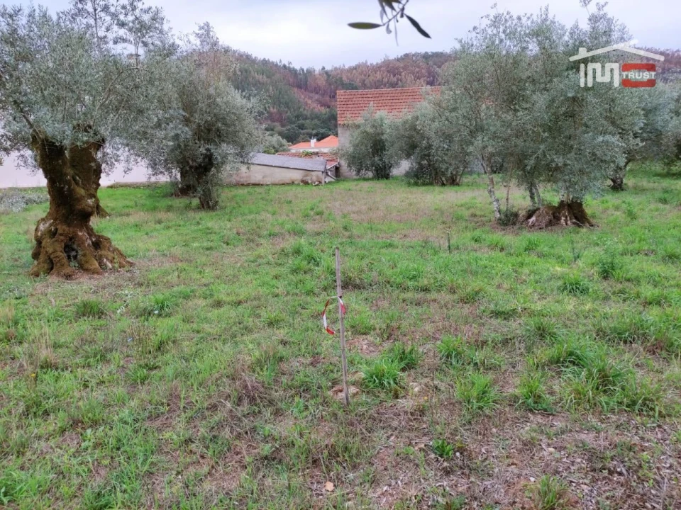 Terreno Agricola ou Rústico para Venda em Urqueira Foto 3