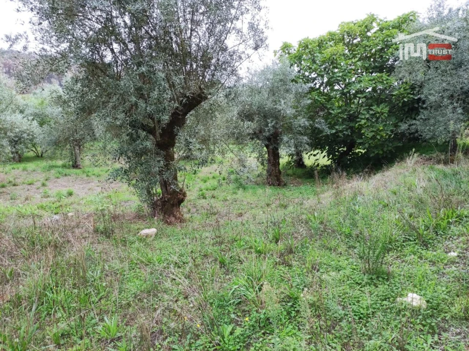 Terreno Agricola ou Rústico para Venda em Urqueira Foto 4