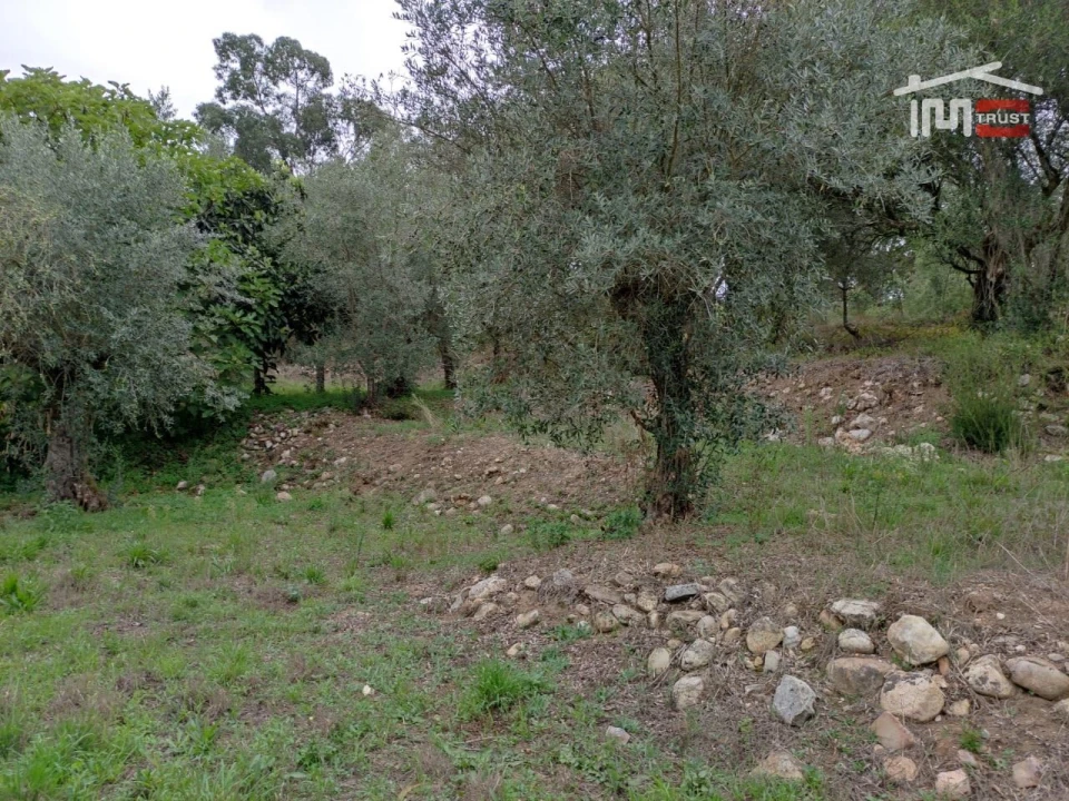 Terreno Agricola ou Rústico para Venda em Urqueira Foto 5