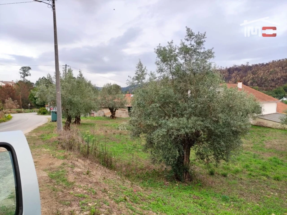 Terreno Agricola ou Rústico para Venda em Urqueira Foto 6