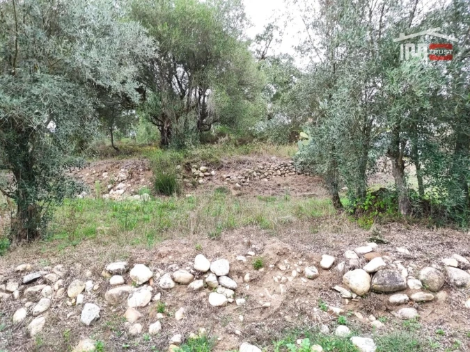 Terreno Agricola ou Rústico para Venda em Urqueira Foto 2