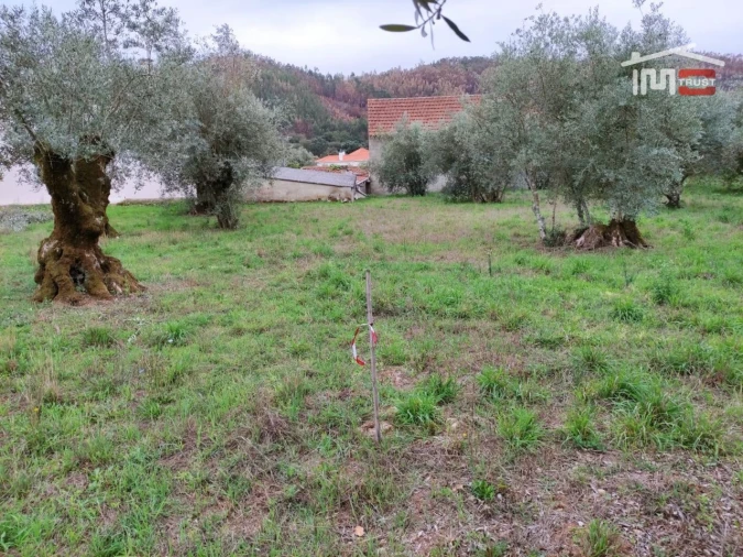 Terreno Agricola ou Rústico para Venda em Urqueira Foto 3