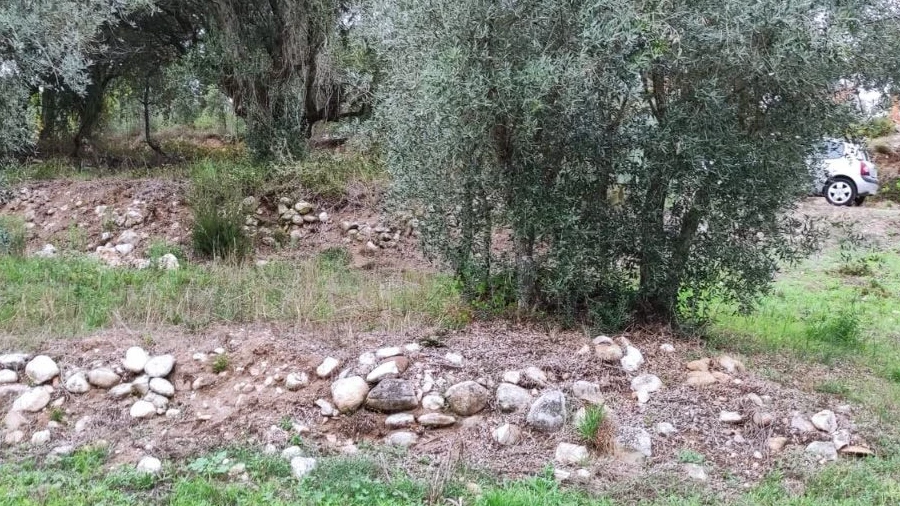 Terreno Agricola ou Rústico para Venda em Urqueira