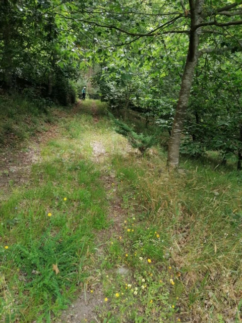 Terreno para Venda em Rubiães