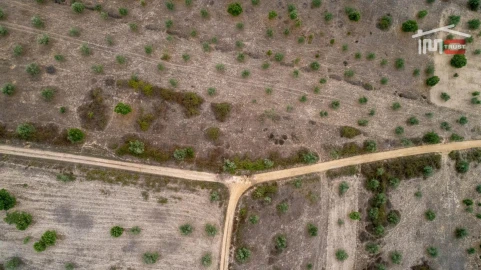 Terreno Agricola ou Rústico para Venda em Pego