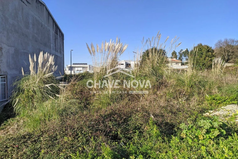 Terreno P/ Prédio para Venda em Nogueira da Regedoura Foto 5