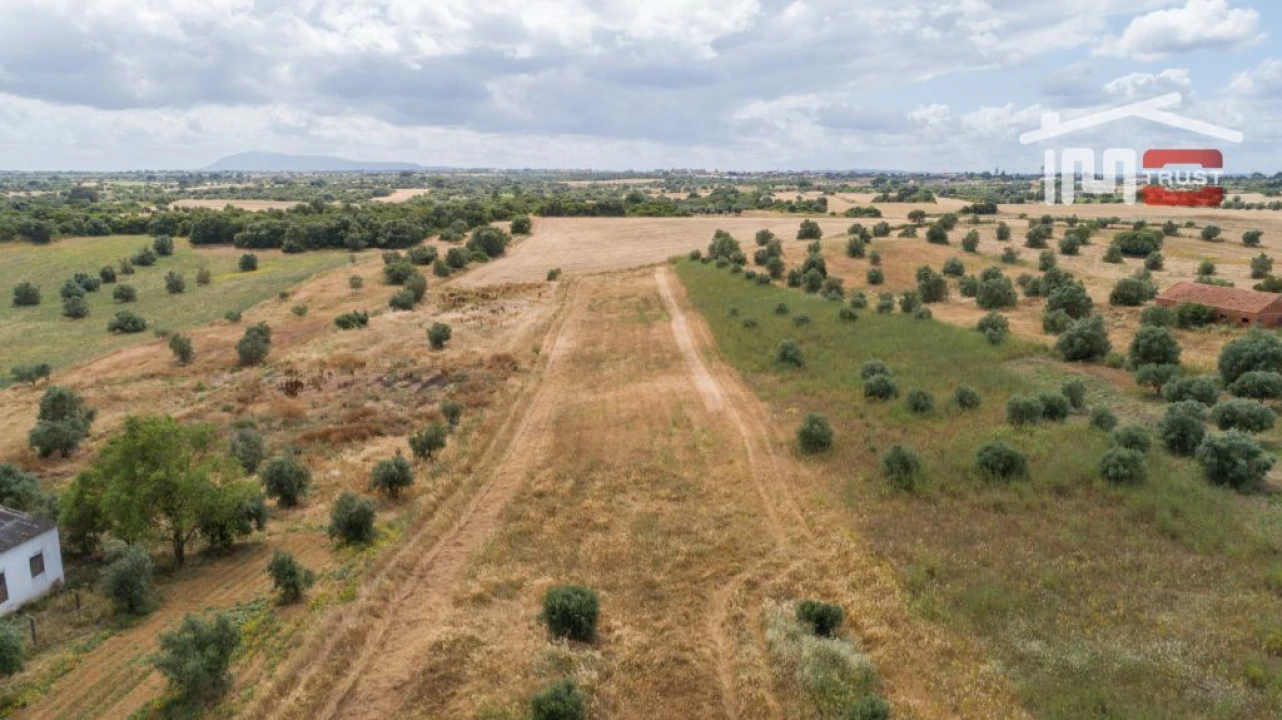 Terreno Agricola ou Rústico para Venda em Almoster Foto 3