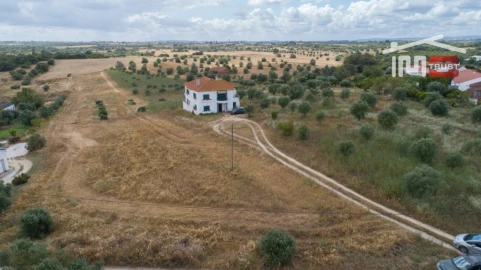 Terreno Agricola ou Rústico para Venda em Almoster
