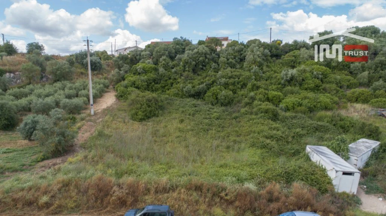 Terreno Agricola ou Rústico para Venda em Almoster Foto 2