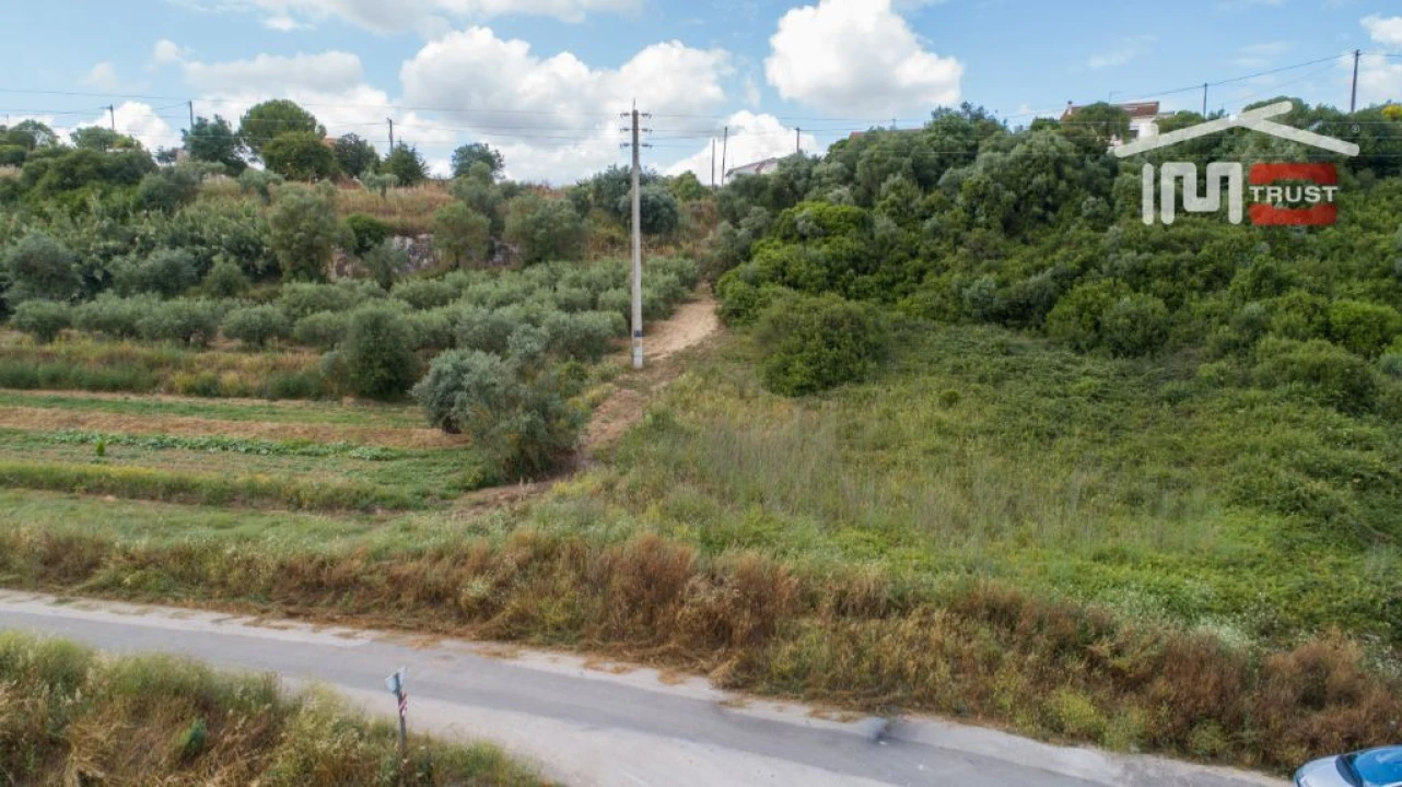 Terreno Agricola ou Rústico para Venda em Almoster Foto 3