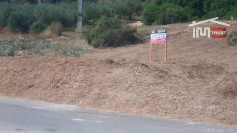 Terreno Agricola ou Rústico para Venda em Almoster