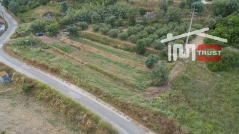 Terreno Agricola ou Rústico para Venda em Almoster