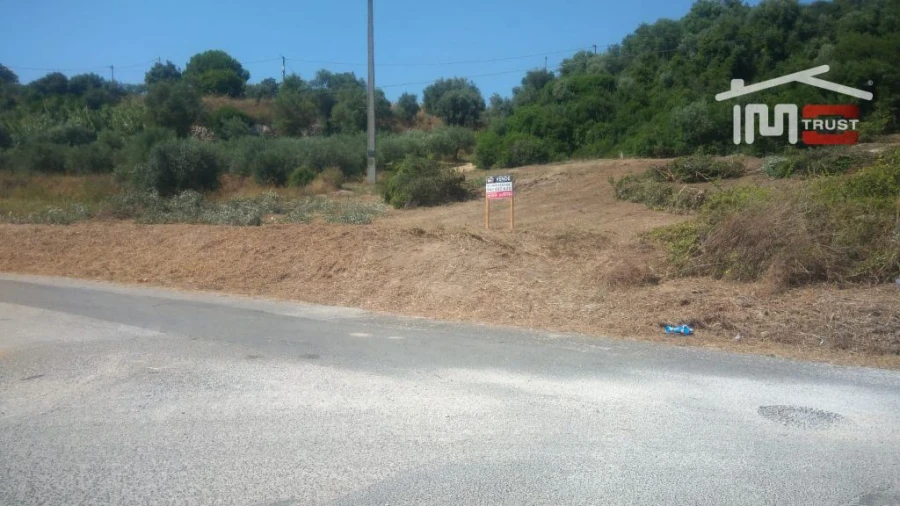 Terreno Agricola ou Rústico para Venda em Almoster Foto 7